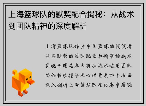 上海篮球队的默契配合揭秘：从战术到团队精神的深度解析